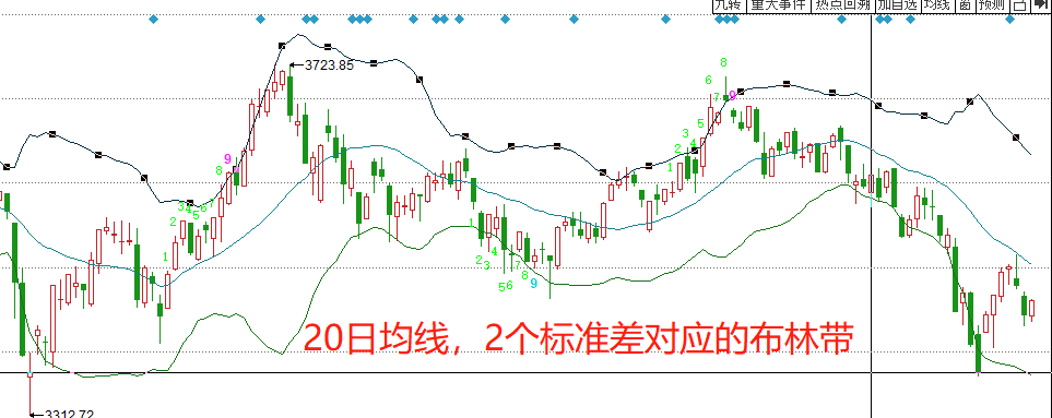 养鸭废水处理工艺方案分享（养鸭子池塘水怎么净化）