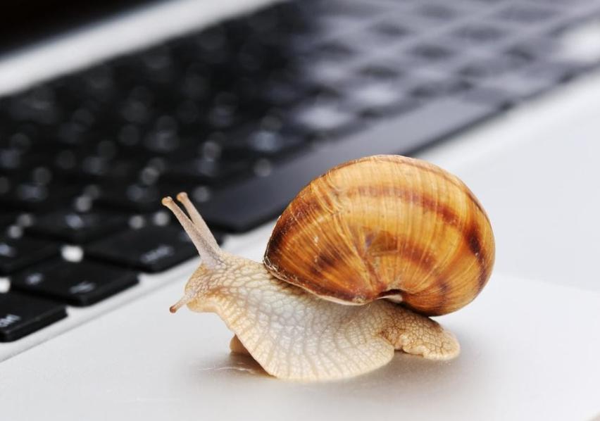 寄往美国的包裹量大降81%